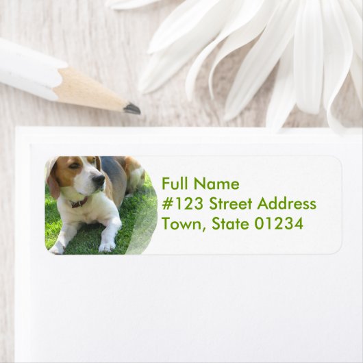 Beagle Hound Dog Retouradres Label (Insitu)