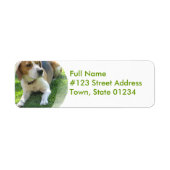 Beagle Hound Dog Retouradres Label (Voorkant)