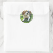 Beagle Hound Dog Sticker (Tas)