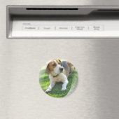 Beagle Hound Hond Ronde Magneet (Insitu (Vaatwasser))