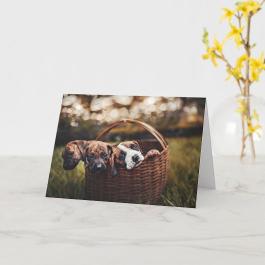 Beagle Hound Lover Dog Puppies Dog Thinking You Kaart (Gele Bloem)