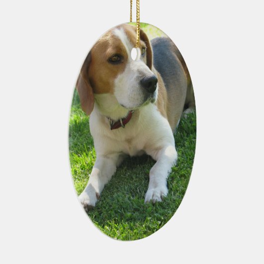 Beagle Hound Ornament (Rechts)