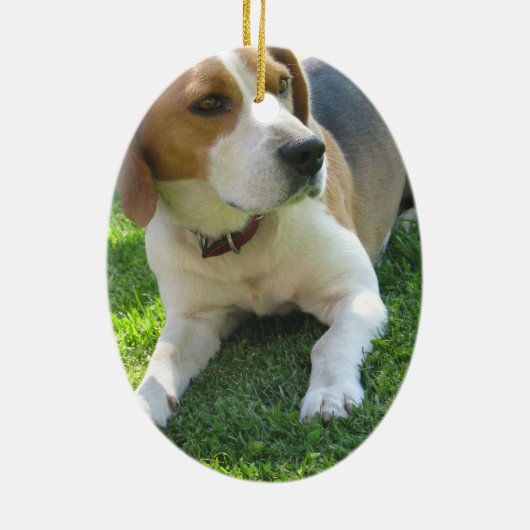 Beagle Hound Ornament (Achterkant)