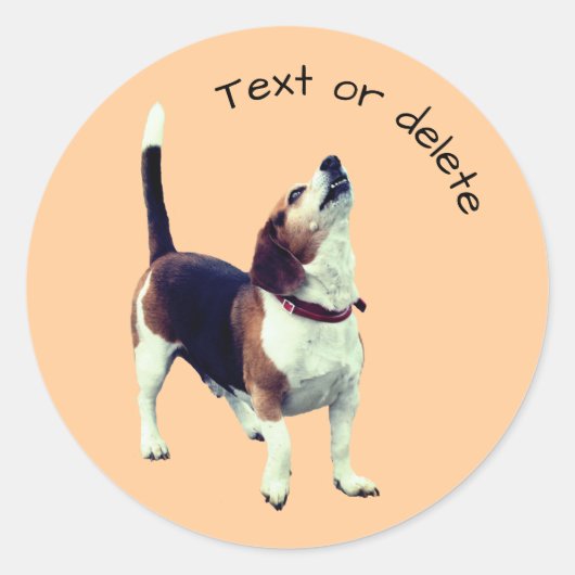 Beagle Howling Dog Persoonlijk Ronde Sticker (Voorkant)
