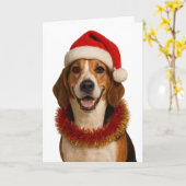 Beagle in a Santa hat Christmas card Kaart (Gele Bloem)