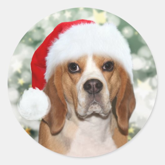 Beagle in Kerstmis Kerstman hoed Ronde Sticker (Voorkant)