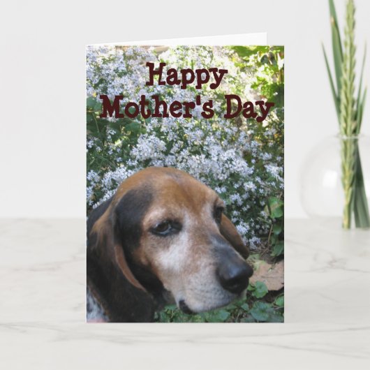 Beagle Kaart (Voorkant)
