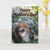 Beagle Kaart (Gele Bloem)