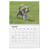 Beagle Kalender (Mar 2027)