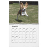 Beagle Kalender (Feb 2027)