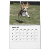Beagle Kalender (Feb 2026)