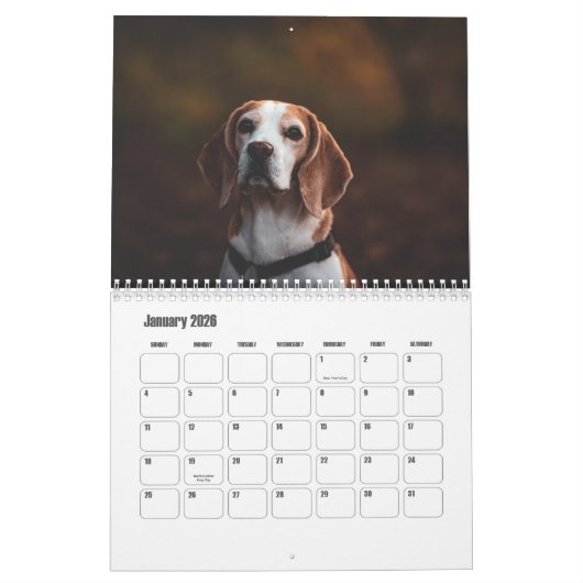 Beagle Kalender (Jan 2026)