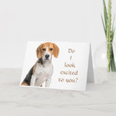 BEAGLE KAN NIET GELOVEN HOE JONG JE ZIET KAART (Voorkant)