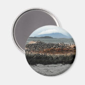 Beagle Kanaal Magneet (Voorkant / Achterkant)