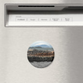 Beagle Kanaal Magneet (Insitu (Vaatwasser))