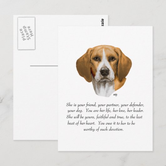 Beagle Keepomwille Briefkaart (Voorkant / Achterkant)