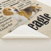 Beagle kenmerken sherpa deken (3/4)