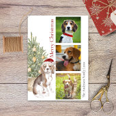 Beagle kerstboom Pet Dog Foto Feestdagenkaart