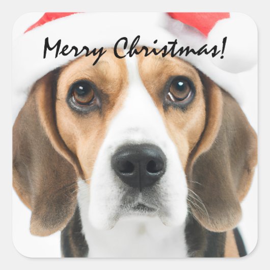 Beagle Kerstmis Sticker (Voorkant)