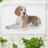 Beagle Kitchen Towel Theedoek (Gevouwen)