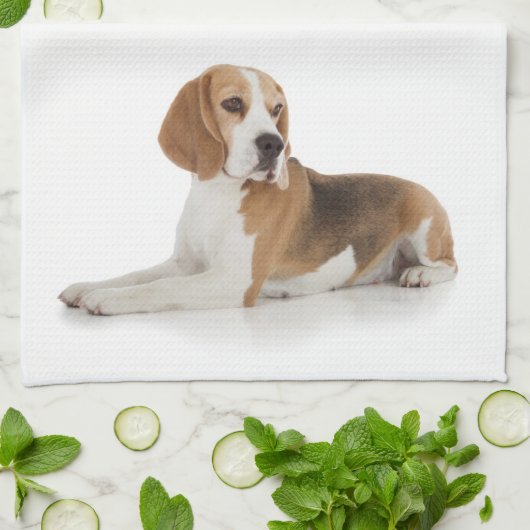 Beagle Kitchen Towel Theedoek (Gevouwen)