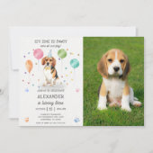 Beagle Laat Pawty Hond Puppy Verjaardag Blauw Foto Kaart (Voorkant)