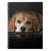 Beagle-laptop Notitieboek (Voorkant)