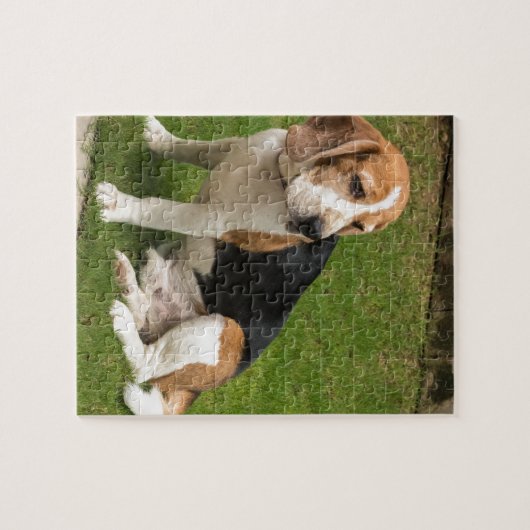 Beagle Legpuzzel (Horizontaal)