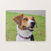 Beagle Legpuzzel (Horizontaal)
