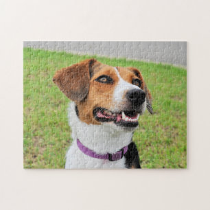 Beagle Legpuzzel