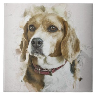 BEAGLE LIEFDE, Familie huisdier, Reddingshond, Bes Tegeltje