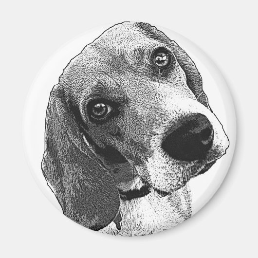 Beagle Love Magneet (Voorkant)