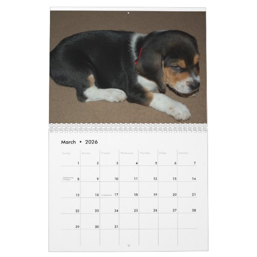 Beagle Lover Agenda Kalender (Mar 2026)