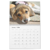Beagle Lover Agenda Kalender (Jan 2026)