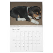 Beagle Lover Agenda Kalender (Mar 2027)