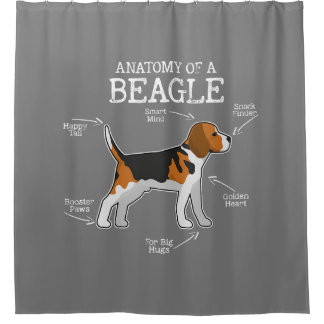 Beagle Lovers/anatomie van een beagle Douchegordijn