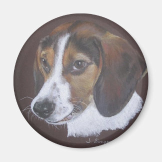 Beagle Magneet