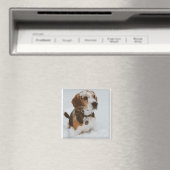 beagle magneet (Insitu (Vaatwasser))