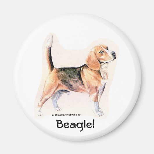 Beagle Magneet (Voorkant)
