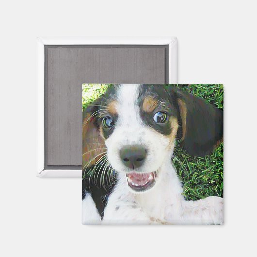 Beagle Magnet (Voorkant / Achterkant)