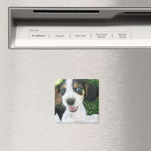 Beagle Magnet (Insitu (Vaatwasser))