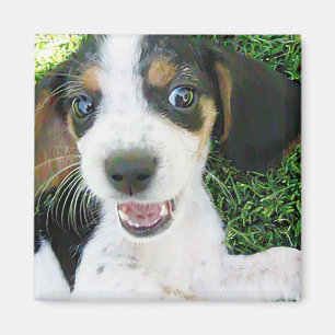 Beagle Magnet