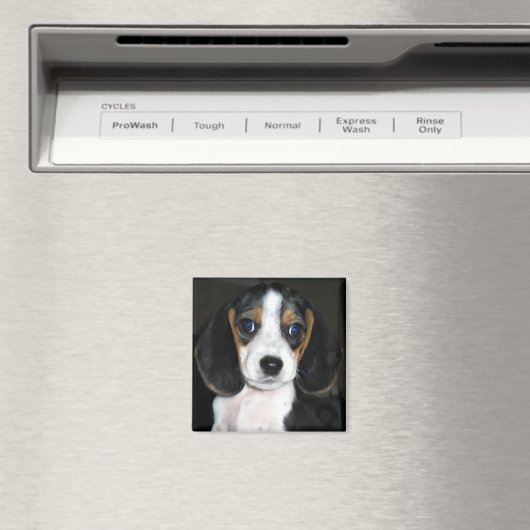 Beagle Magnet 2 (Insitu (Vaatwasser))