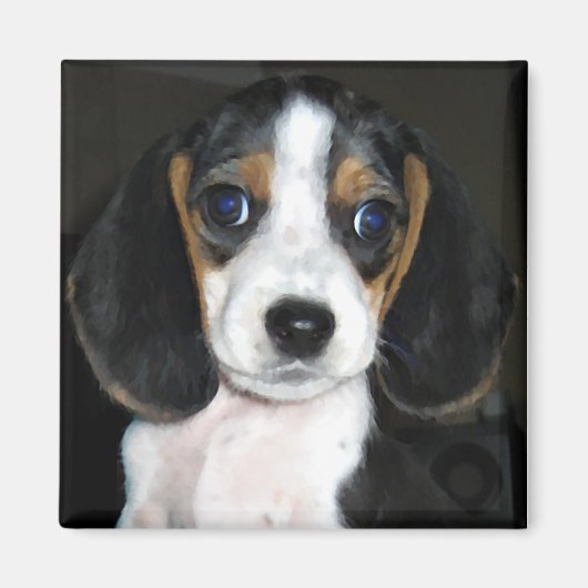 Beagle Magnet 2 (Voorkant)