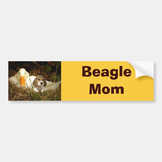 Beagle Mam Bumpersticker (Voorkant)