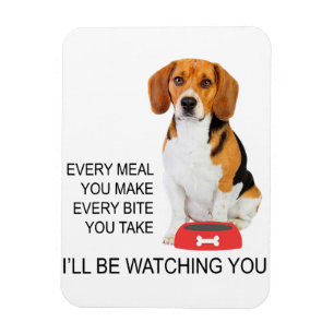beagle mam elke maaltijd die je maakt, kijkt naar magneet