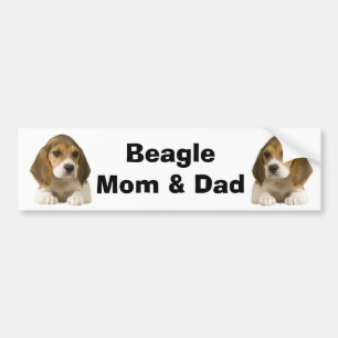 Beagle Mam & Pap Bumpersticker