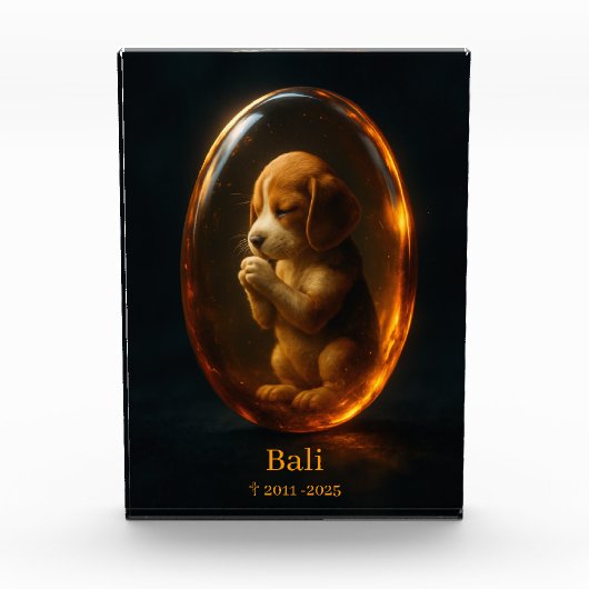 Beagle Memorial Fotoblokken (Voorkant)