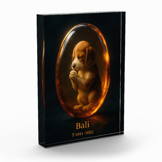 Beagle Memorial Fotoblokken (Links)