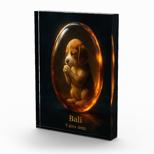 Beagle Memorial Fotoblokken (Rechts)